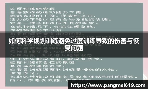 365WM完美体育手机平台